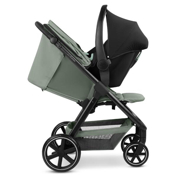Abc Design Avus 2 pine 